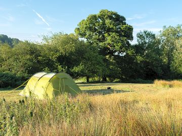 Grass pitch