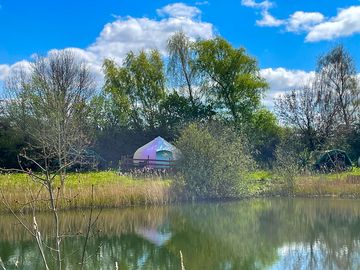 Brown trout bell tent