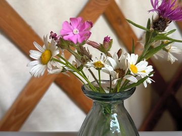 Interior, local wildflowers