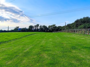 Grass pitches