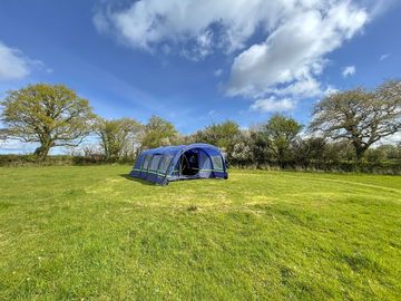 Spacious grass pitch