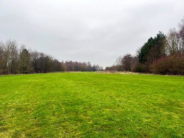 Field