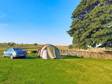 Visitor image of the non-electric camp pitch at top of site, with tree for morning shade