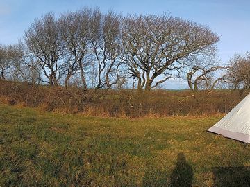 Panoramic pitch view