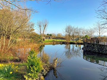 Springtime by the pond