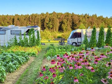 Camping on the outskirts of Ljubljana, Slovenia