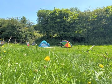 Grass tent pitches