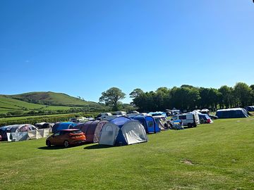 Spacious camping field.