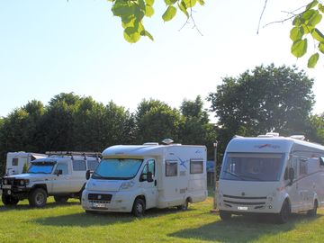 Large pitches surrounded by trees
