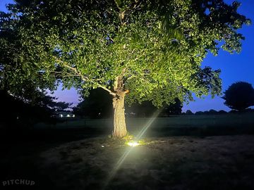Picturesque at night.