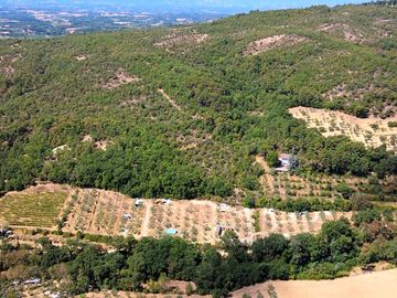 Aerial photo of the campsite
