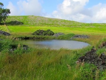 Little pond