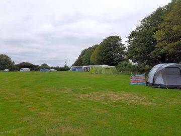 Grass pitches