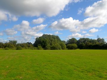 Grass pitches