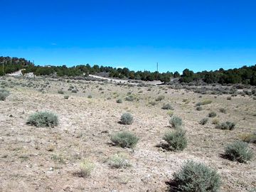 Wild sites
