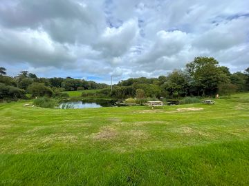 Picnic areas around the pond