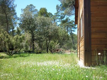 Outside the lodge