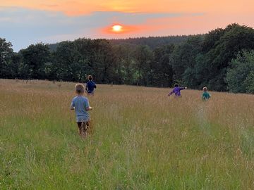 Golden hour in the fields.