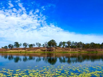 Oz Sky Ranch Campsite
