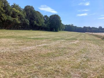 North end of the field