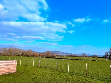 Views from site