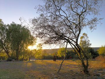 Around the site