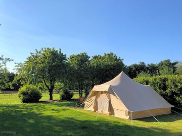 Touareg safari tents in their own tree-lined area of the site