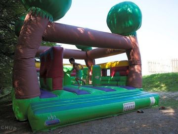 Bouncy castle