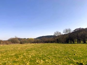 View of the site