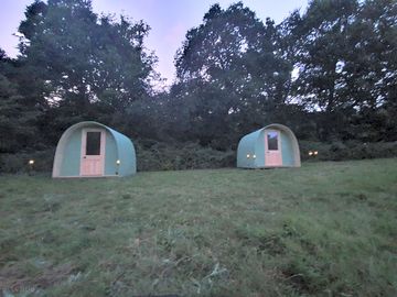 Pods in the evening