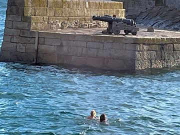 Swimmers in the harbour