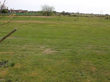 Flat, grassy tent field