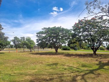 Grassy area
