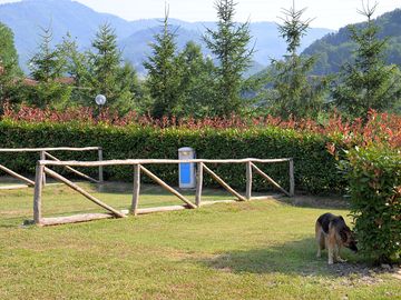 Dogs welcome on site