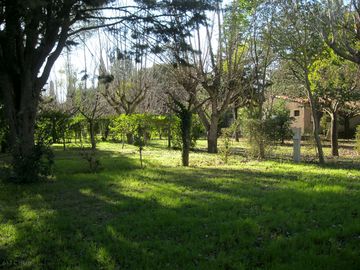 Shaded pitch