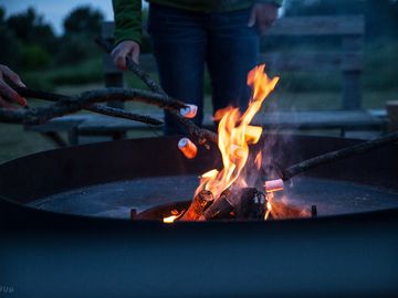 Autumn camp fire and marshmallow toasting