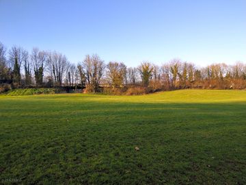 View across the field