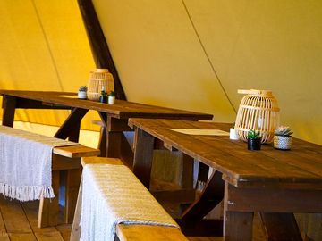 Camp lion lodge bar