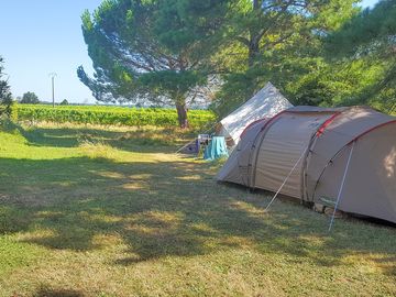 Grass pitches