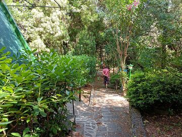 The gardens