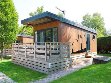 Glamping Hive
