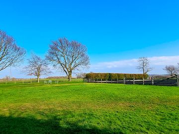 Great green area