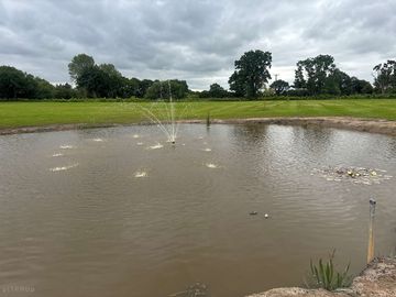 A photograph of our pond we have a range of fish please keep all children accompanied with an adult