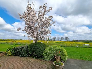 Countryside view in spring
