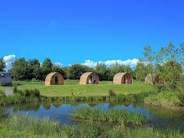 Pods by the pond