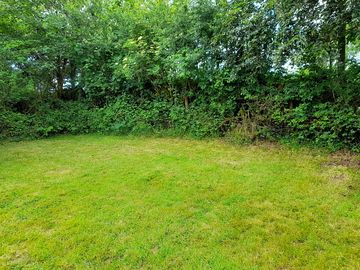 Plenty of pitch space