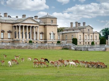 Holkham hall