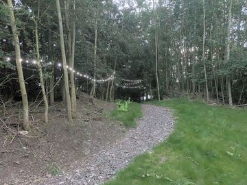 Around the site