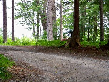 Road onto the property