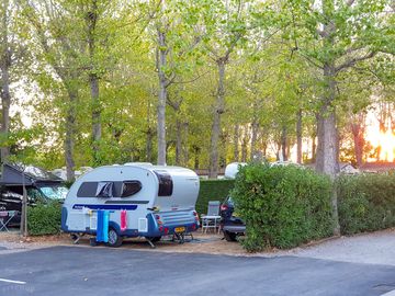 Pitch under the trees